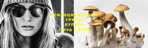 экстази Алексин
