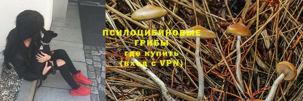 МДМА Абаза