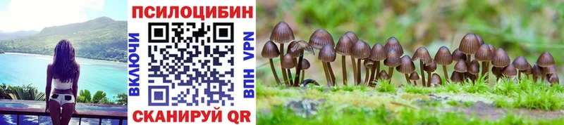 Галлюциногенные грибы Psilocybe  наркошоп  Симферополь 
