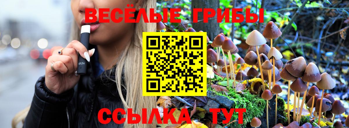 Симферополь  Псилоцибиновые грибы прущие грибы  Вход с VPN 