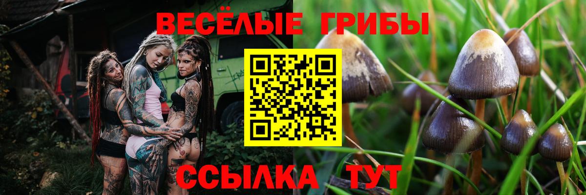 Псилоцибиновые грибы ЛСД Симферополь